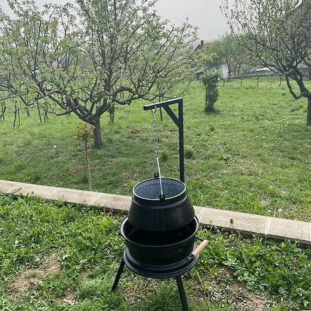 Dom wakacyjny Alma Apartmanhaz *